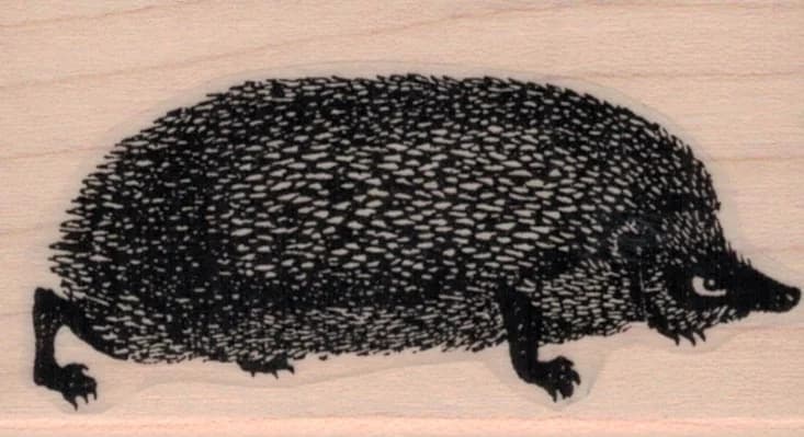 Hedgehog 1 1/2 X 2 1/2