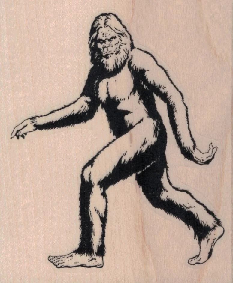 Sasquatch 2 3/4 X 3 1/4