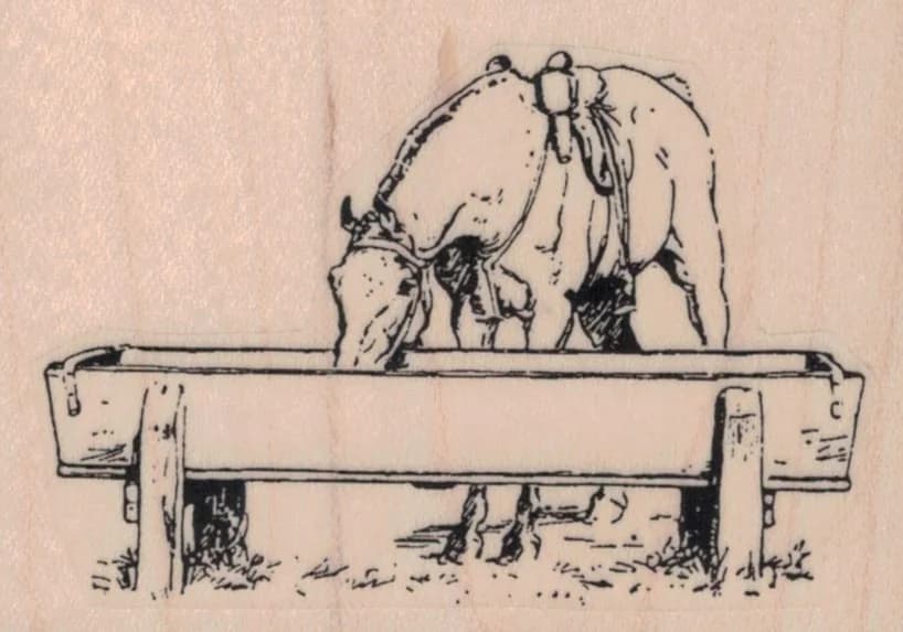 Horse At Trough 3 X 2