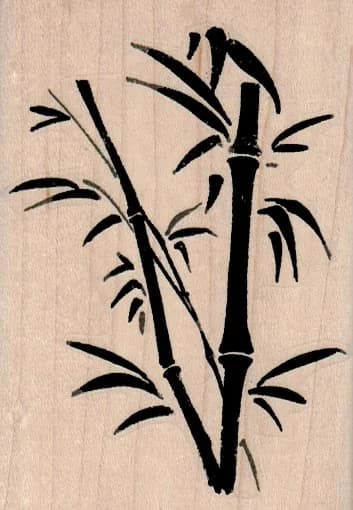 Bamboo 2 1/2 X 3 1/2
