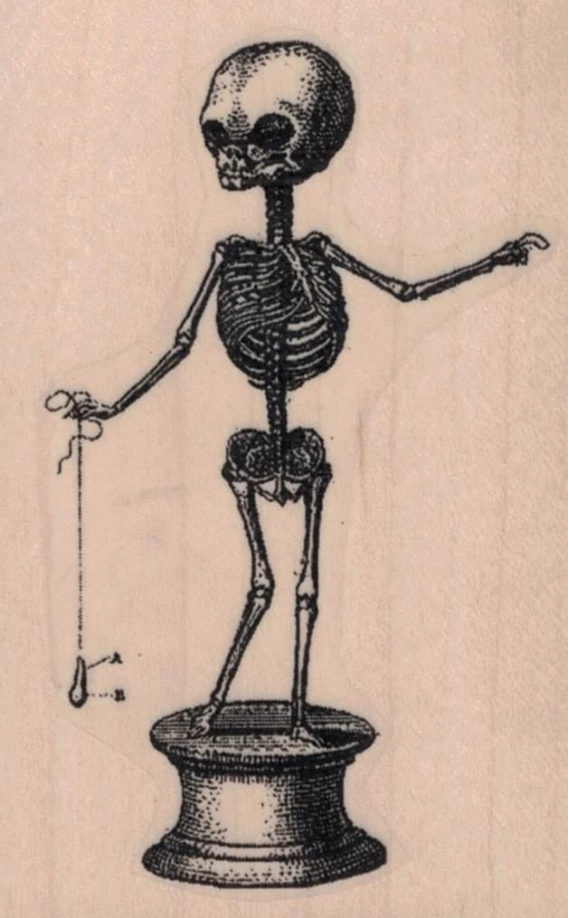 Creepy Skeleton Specimen 2 1/4 X 3 1/2