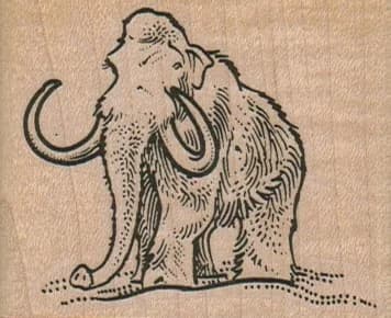 Wooly Mammoth 2 1/2 X 2