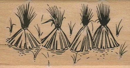 Rice Sheaves 1 3/4 X 3