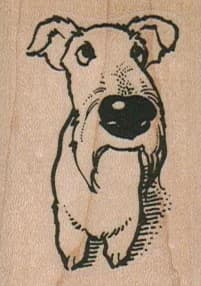Dog Looking Up 1 1/2 X 2