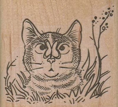 Cat With Butterfly On Nose 2 3/4 X 2 1/2