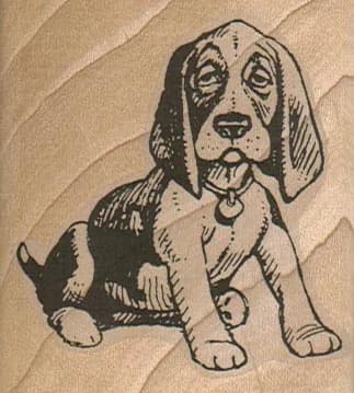Sleepy Eyed Basset 2 1/4 X 2 1/2