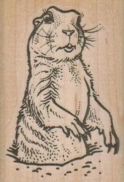 Prairie Dog Half Out Of Hole 1 3/4 X 2 1/2