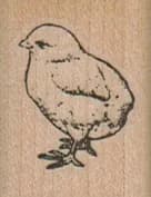 Chick Standing 1 X 1 1/4