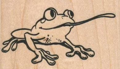 Frog Shooting Tongue 3 X 1 3/4