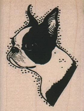 Boston Terrier Side View 2 X 2 1/2