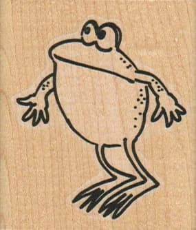 Frog Looking Perplexed 2 X 2 1/4