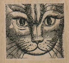 Glowering Cat Face 2 X 1 3/4