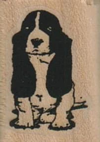 Hound Dog 3/4 X 1