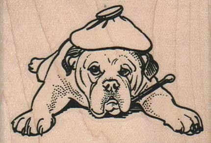 Dog With Thermometer 3 X 2