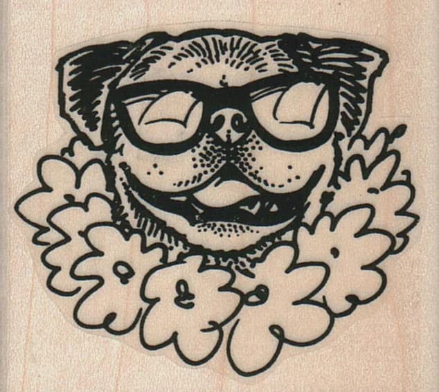 Pug Dog In Lei 2 1/4 X 2