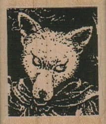 Wolf Fox Square 1 1/2 X 1 3/4