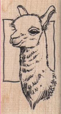 Llama Square 2 X 3 1/2