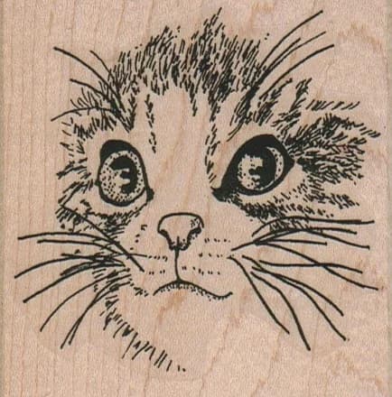 Cat Face/large 3 X 3