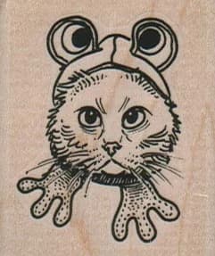 Cat In Frog Costume 1 3/4 X 2