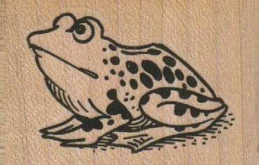 Frog Looking Up 2 X 1 1/4