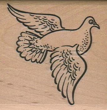 Dove 2 1/2 X 2 1/2