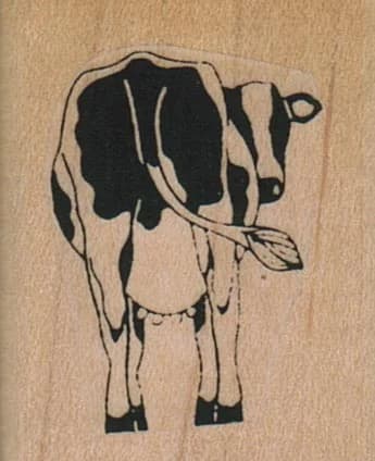 Cow Looking Back 1 X 1 1/4