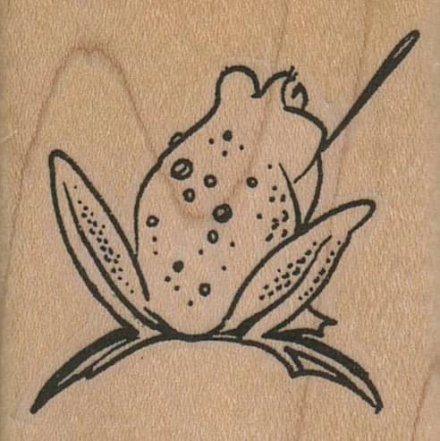 Frog Tongue 1 3/4 X 1 3/4