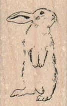 Bunny Looking Right/small 1 X 1 1/2
