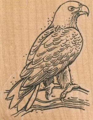 Eagle On Branch 2 1/2 X 3