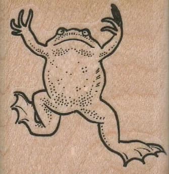 Swimming Frog 1 3/4 X 1 3/4