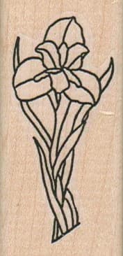 Irises/med 1 1/4 X 2 1/2