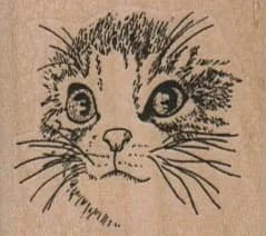 Cat Face/medium 1 3/4 X 1 1/2