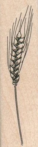 Wheat Sheaf 1 X 3 1/2