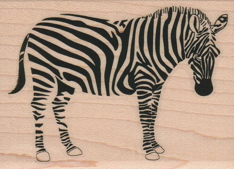 Zebra 2 1/2 X 3 1/4