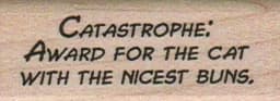 Catastrophe: Award For 3/4 X 1 3/4