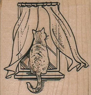 Cat Looking/window 2 3/4 X 2 3/4