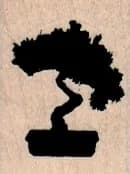 Bonsai Tree 1 X 1 1/4