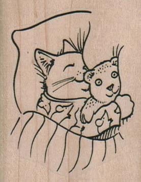 Cat Sleeping With Teddy Bear 2 X 2 1/2