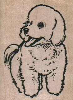 Bichon Panting 1 3/4 X 2 1/4