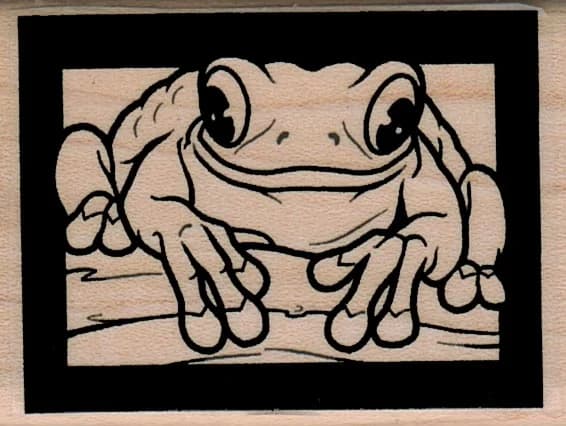 Framed Frog 1 1/2 X 2