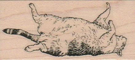 Sleeping Cat 1 1/2 X 3