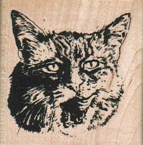 Catlick 2 X 2