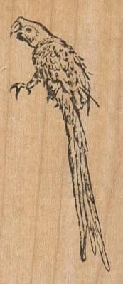 Parrot Facing Left 1 1/4 X 2 3/4