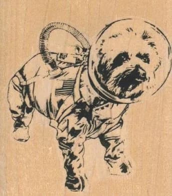 Terrier Dog In Space 2 1/4 X 2 1/2