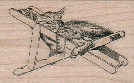 Kitten Lounging 2 X 3