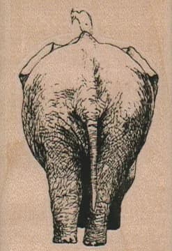 Elephant And Bird 1 3/4 X 2 1/2