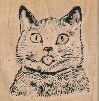 Cat Tongue 2 1/4 X 2 1/4