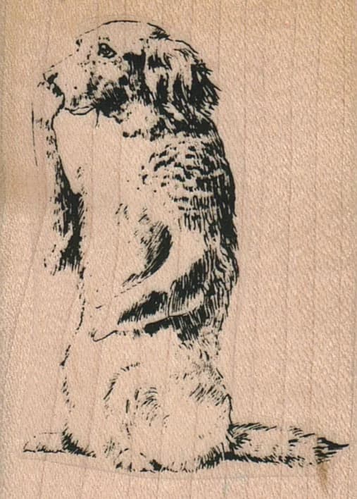 Golden Retriever Dog Secret 1 3/4 X 2 1/2