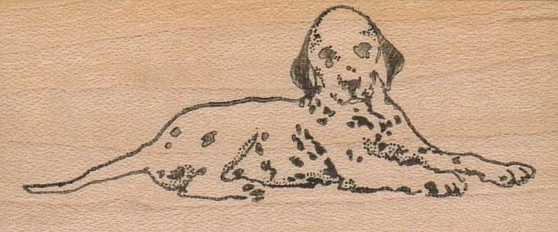 Spotted Dog 1 1/4 X 2 3/4
