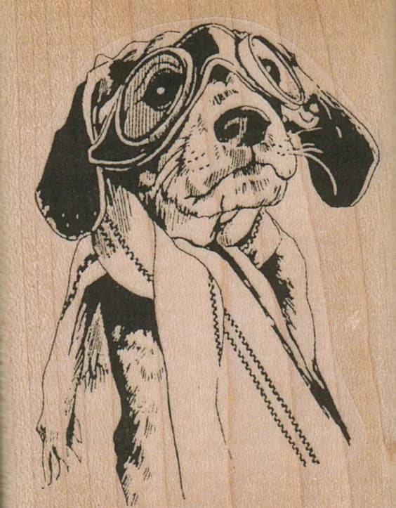Aviator Beagle Dog 2 X 2 1/2